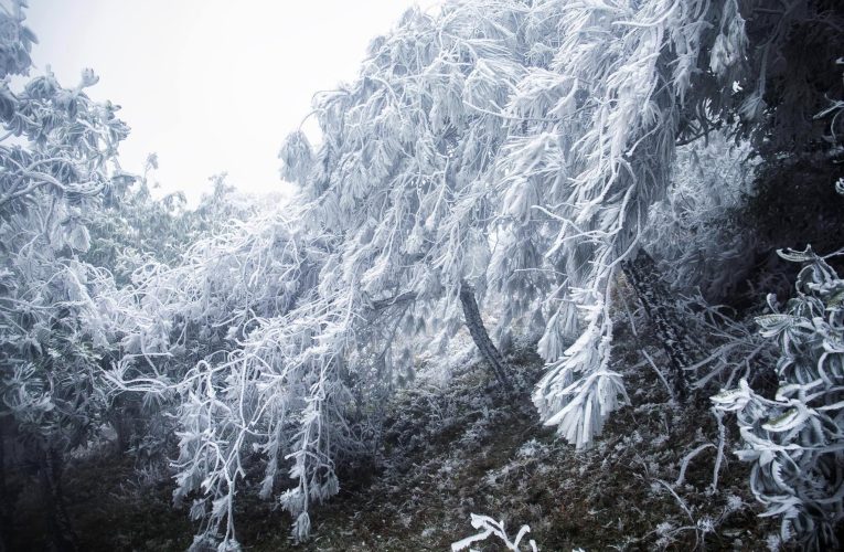 Mùa Đông năm nay khả năng có đợt rét đậm, rét hại kèm sương muối, băng giá