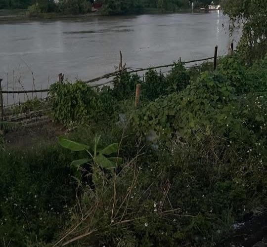 Ảnh người đàn ông TV bên sông