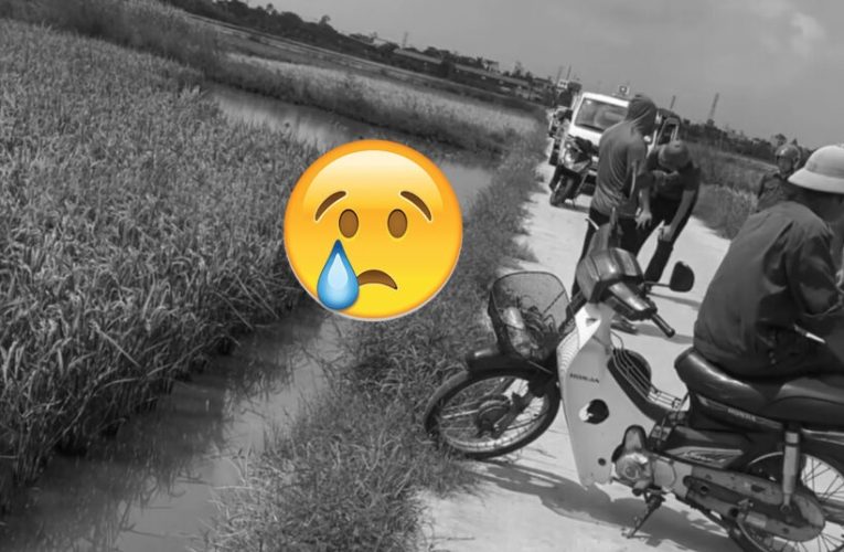 Người phụ nữ chở thóc đi phơi không may ngã xe không qua khỏi dưới ruộng