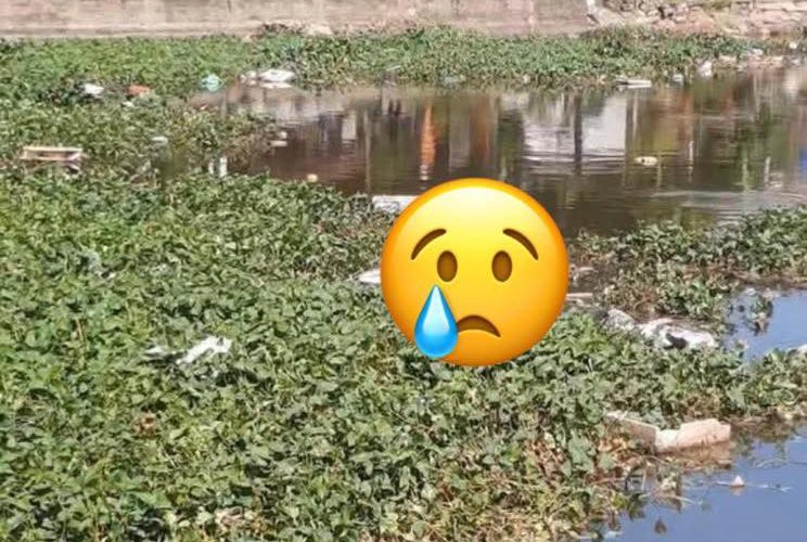 [Video] Yếu tim ko xem