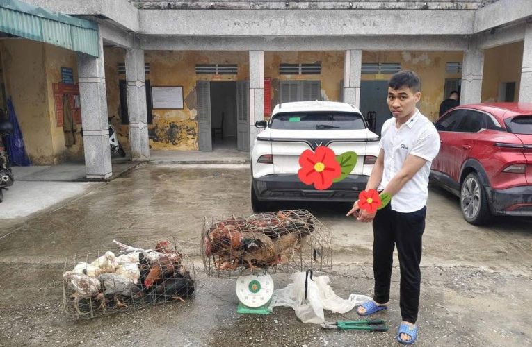 Công An xã Bắc Thụy Anh đã bắt giữ đối tượng tr-ộm c-p trên địa bàn xã.