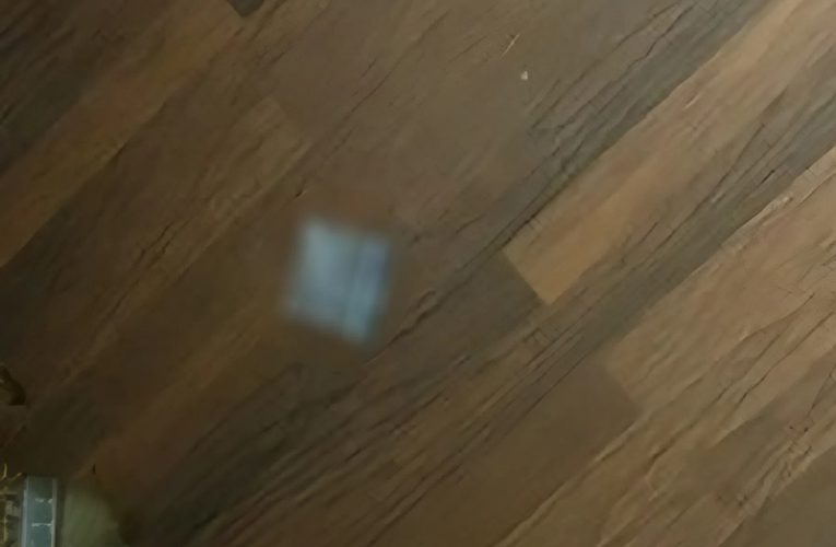 Bảo vệ trường tiểu học tổ chức sử dụng ma túy ngay tại phòng bảo vệ – Hồi chuông cảnh tỉnh về an ninh học đường