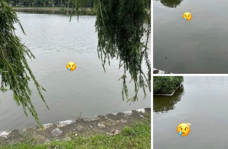 Hồ Vị Xuyên: Ảnh 0 che