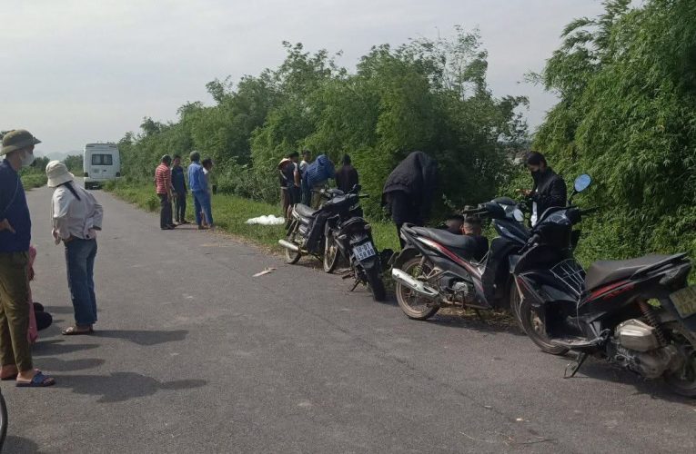 Phát hiện shark ở đê Ý Yên cũ