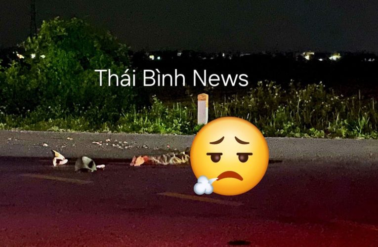 Toàn cảnh vụ TNGT