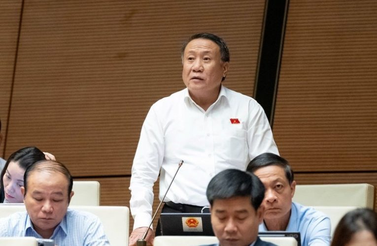 Đại biểu Quốc hội đề xuất miễn yêu cầu ghế trẻ em cho taxi và xe công nghệ vì không phù hợp thực tế Việt Nam