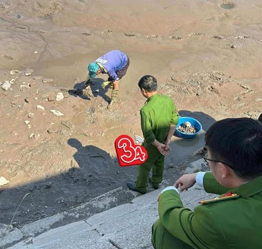 Phát hiện bộ x:ư:ơng người dưới lớp bùn góc ao cá ở Hải Phòng