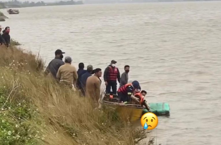 VIDEO: TÌM THẤY CHÚ CỪ