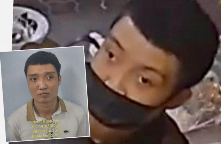 Từ dữ liệu của camera AI, bắt đối tượng trộm sau 72 giờ gây án