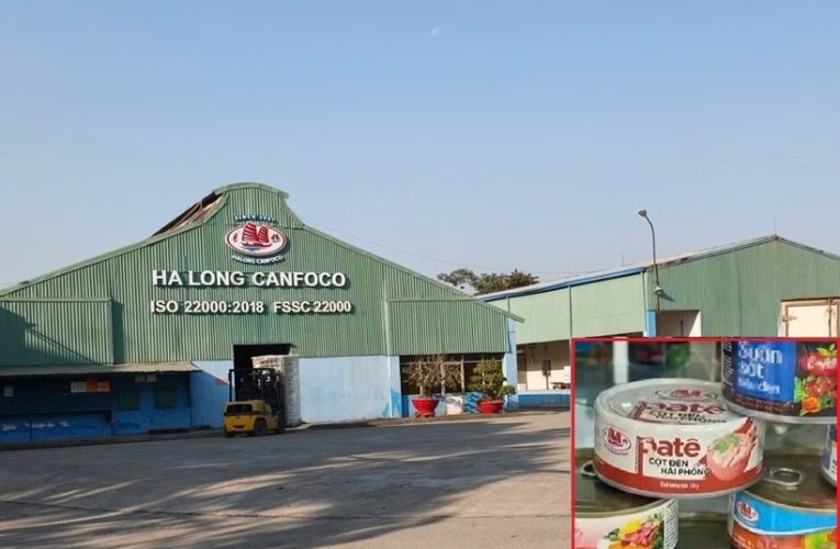 VKSND TP Hải Phòng: Phê chuẩn bắt khẩn cấp Tổng Giám đốc Công ty CP Đồ hộp Hạ Long