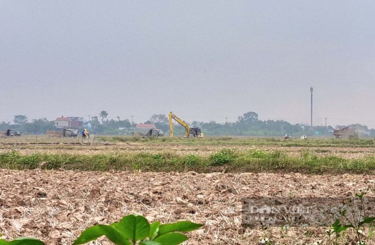 Ninh Bình: Cả “binh đoàn” xe tải rầm rộ “rút ruột” đất màu trên cánh đồng cày ải mang đi tiêu thụ