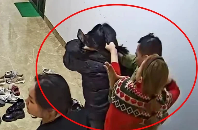 [VIDEO] Cam vụ việc tại chung cư CT5-DN2, đường Trần Hữu Dực