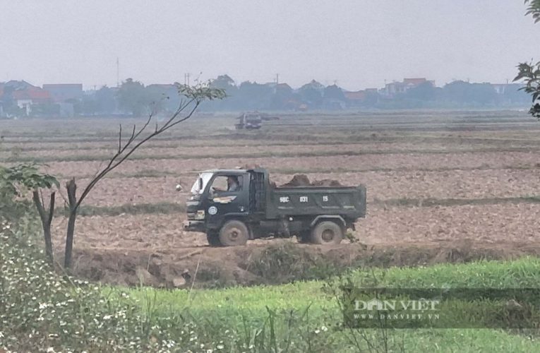 Ninh Bình: Cả “binh đoàn” xe tải rầm rộ “rút ruột” đất màu trên cánh đồng cày ải mang đi tiêu thụ