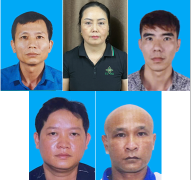 Hải Phòng khởi tố 9 bị can vụ mua bán 130 tấn thịt lợn mắc dịch tả châu Phi