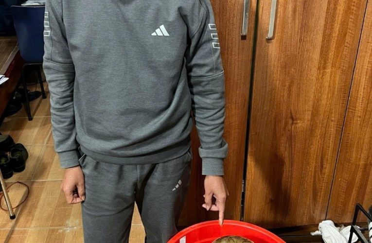 Chặn phi vụ giao dịch rắn hổ mang chúa giá 40 triệu đồng