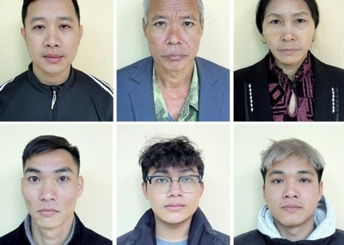 Khởi tố nhóm người ở Hưng Yên thu gom lợn bệnh, lợn ch-t đem đi bán nhiều nơi