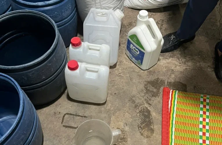 Khởi tố 2 nữ bị can, thu giữ gần 3 tấn giá đỗ dùng chất cấm