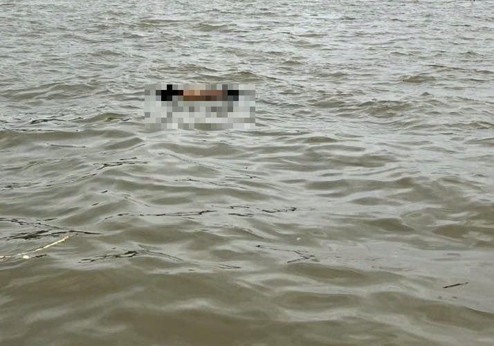 THITHE NỔI Ở CẦU TÂN ĐỆ