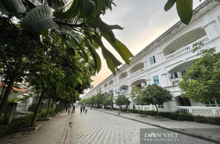 Vụ Trường Đại học Hà Hoa Tiên bị “biến” thành khu trọ: UBND phường Hà Nam sẽ tổ chức kiểm tra