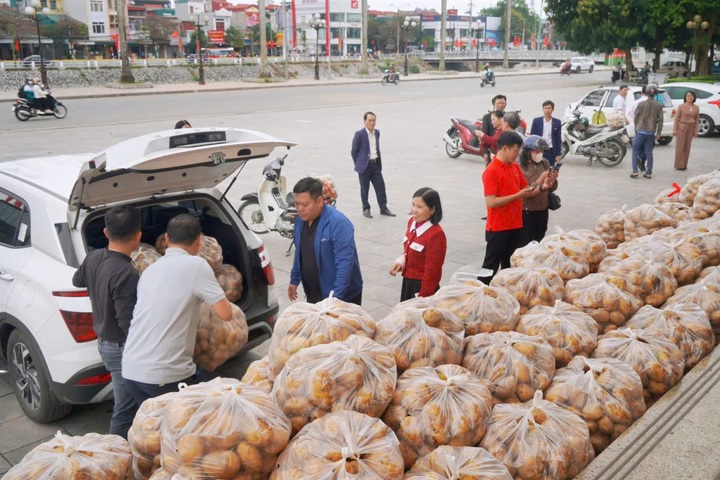 Lãnh đạo xã ở Hưng Yên livestream bán 4,5 tấn khoai tây giúp dân