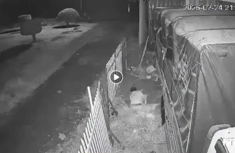 Đồng Tháp: Con trai khóc xin bố đừng ‘x-ửlý’ mẹ nhưng bất thành, tạm giữ đối tượng