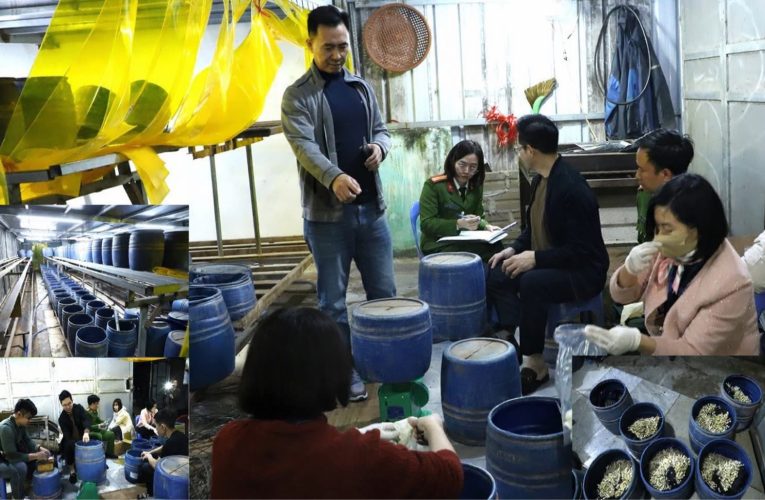 Cơ quan Cảnh sát điều tra Công an tỉnh Ninh Bình khởi tố, bắt tạm giam đối tượng sản xuất gần 2,8 tấn giá đỗ sử dụng chất cấm