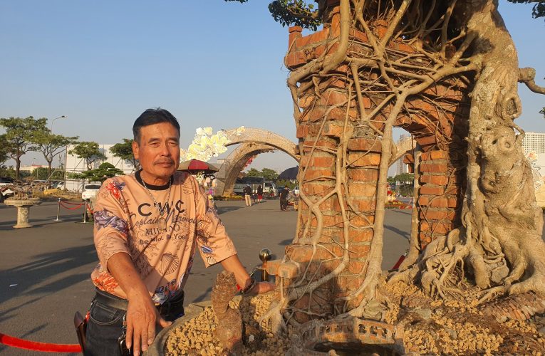 Ngắm cây sanh cổ từng được trả 100 lượng vàng nhưng chủ nhân ở Hưng Yên không bán