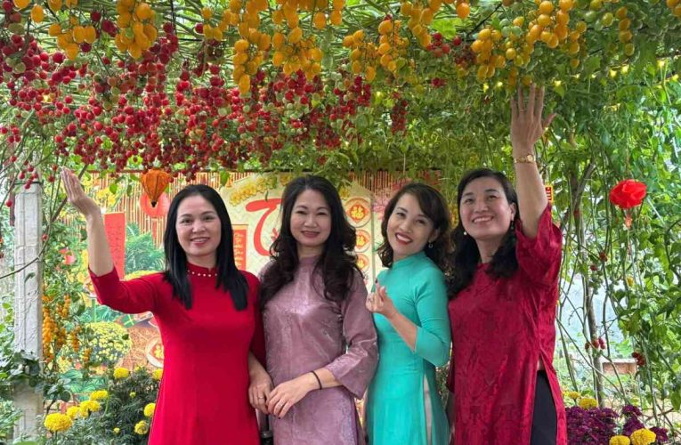 Vườn cà chua bạch tuộc trĩu quả như ảnh AI hút khách check-in ở Hưng Yên