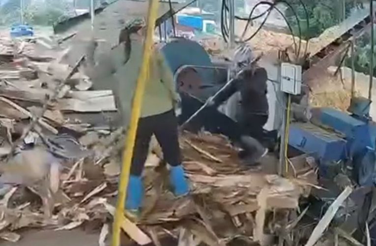 Video: TNLĐ tại xưởng gỗ, 1 người b;ị c;uô’n vào máy TV ko còn nguyên vẹn