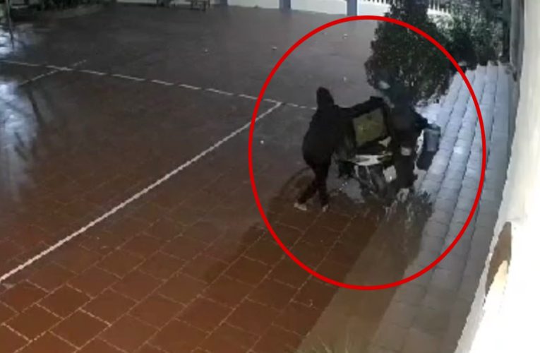 VIDEO: Vụ việc tại đình làng Bái Thượng, Thái Thuỵ