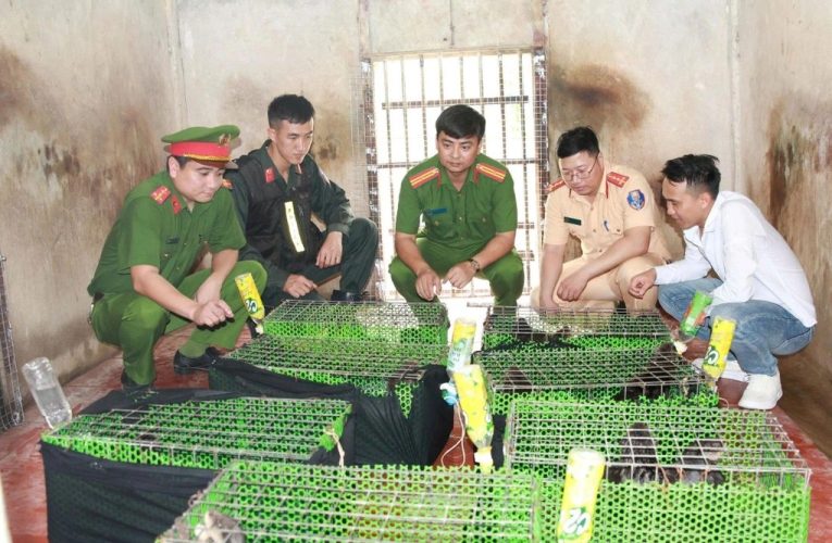 Người đàn ông ở Ninh Bình cầm đầu đường mua bán hồng hoàng, rái cá