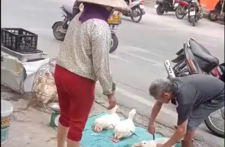 VIDEO VỤ VIỆC TẠI TIỀN HẢI