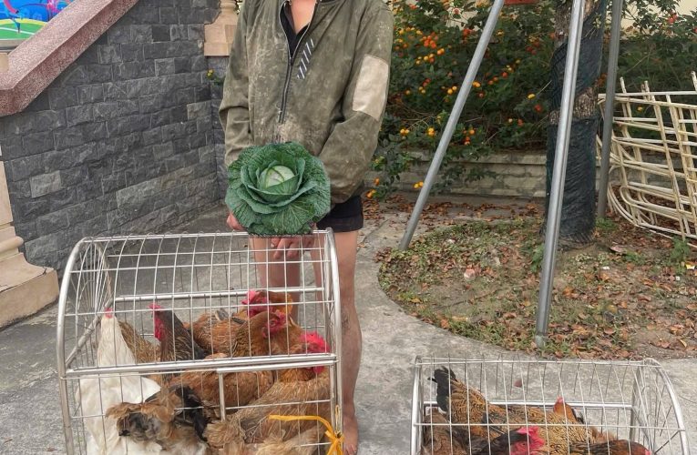 CÔNG AN XÃ Ý YÊN BẮT GIỮ CÁC ĐỐI TƯỢNG CÓ HÀNH VI TRỘM CẮP GIA CẦM TRÊN ĐỊA BÀN