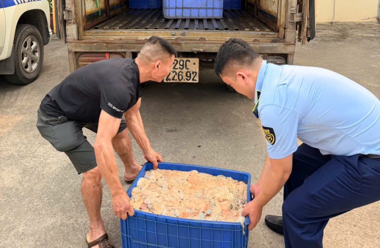 Phát hiện hơn nửa tấn lòng lợn bốc mùi hôi thối đang trên đường tiêu thụ