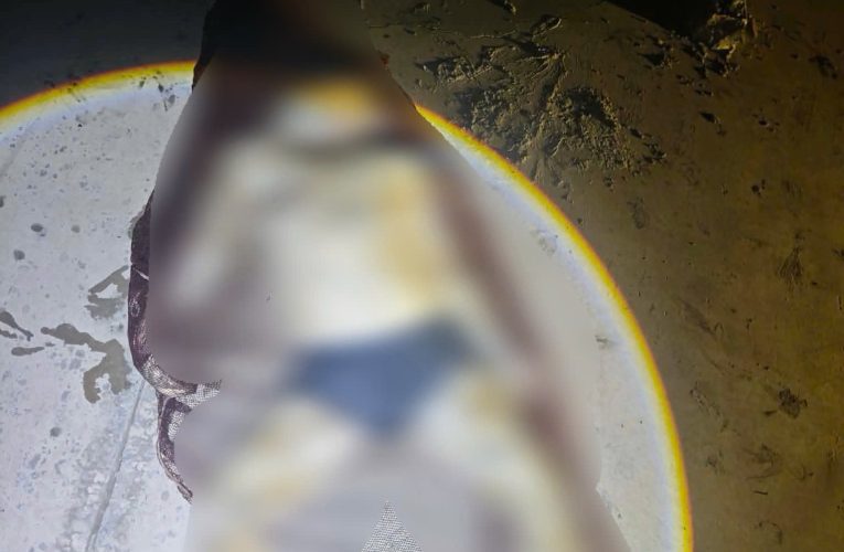 Ảnh nhận dạng Thithe