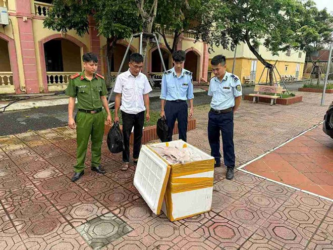 Thu giữ 103kg thịt ch-ó bốc mùi, không rõ nguồn gốc ở Hưng Yên