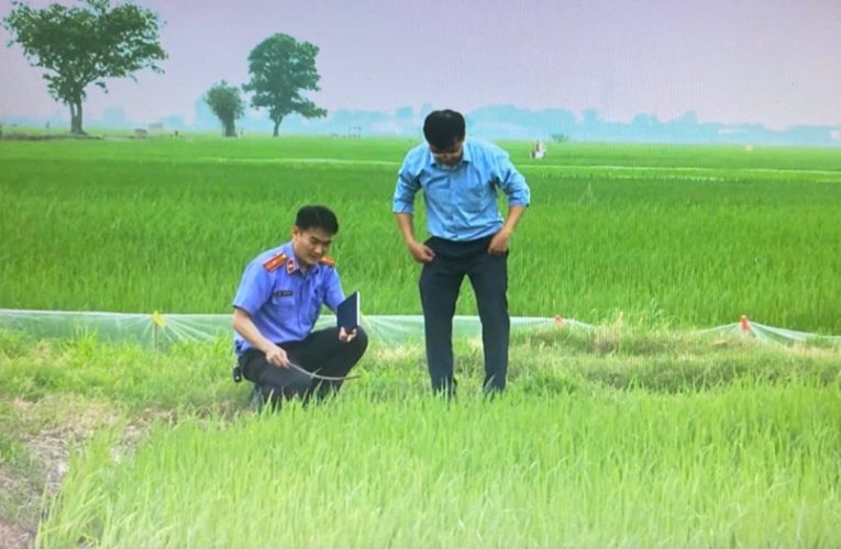 Liên tiếp các vụ điện giật gây chết người ở Hải Phòng